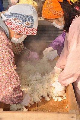 蒸した米を36℃まで下げ、こうじ菌を混ぜ合わせこうじを作ります。
