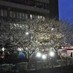 カウントダウンと共にライトアップ